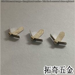 电池弹片 P3879 开模定制