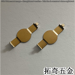 电池弹片 P3880 开模定制